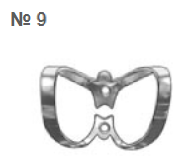 Képernyőkép 2025-08-12 111715